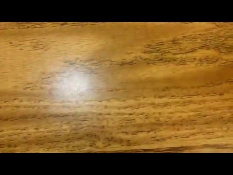 Xev Bellringer’s Response To The Devastating Leak