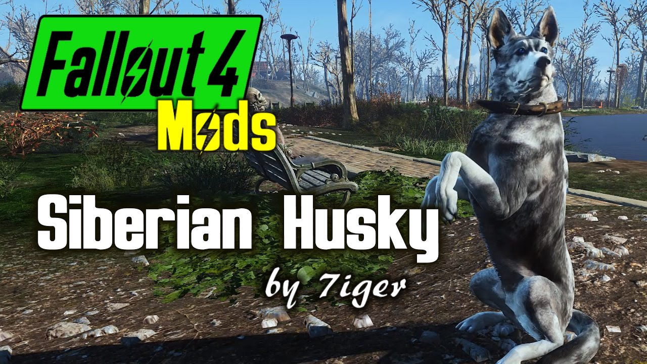 Siberian Husky Dogmeat At Fallout 4 Nexus Mods And Community