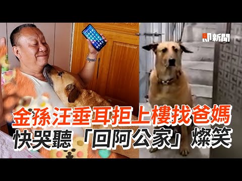 金孫狗狗垂耳悲傷不想上樓找爸媽...聽「回阿公家」燦笑上機車｜寵物孫子｜寵愛｜精選影片