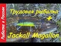 Щука 5.2 кг. на Jackall Magallon .Китайский воблер на щуку с AliExpress .