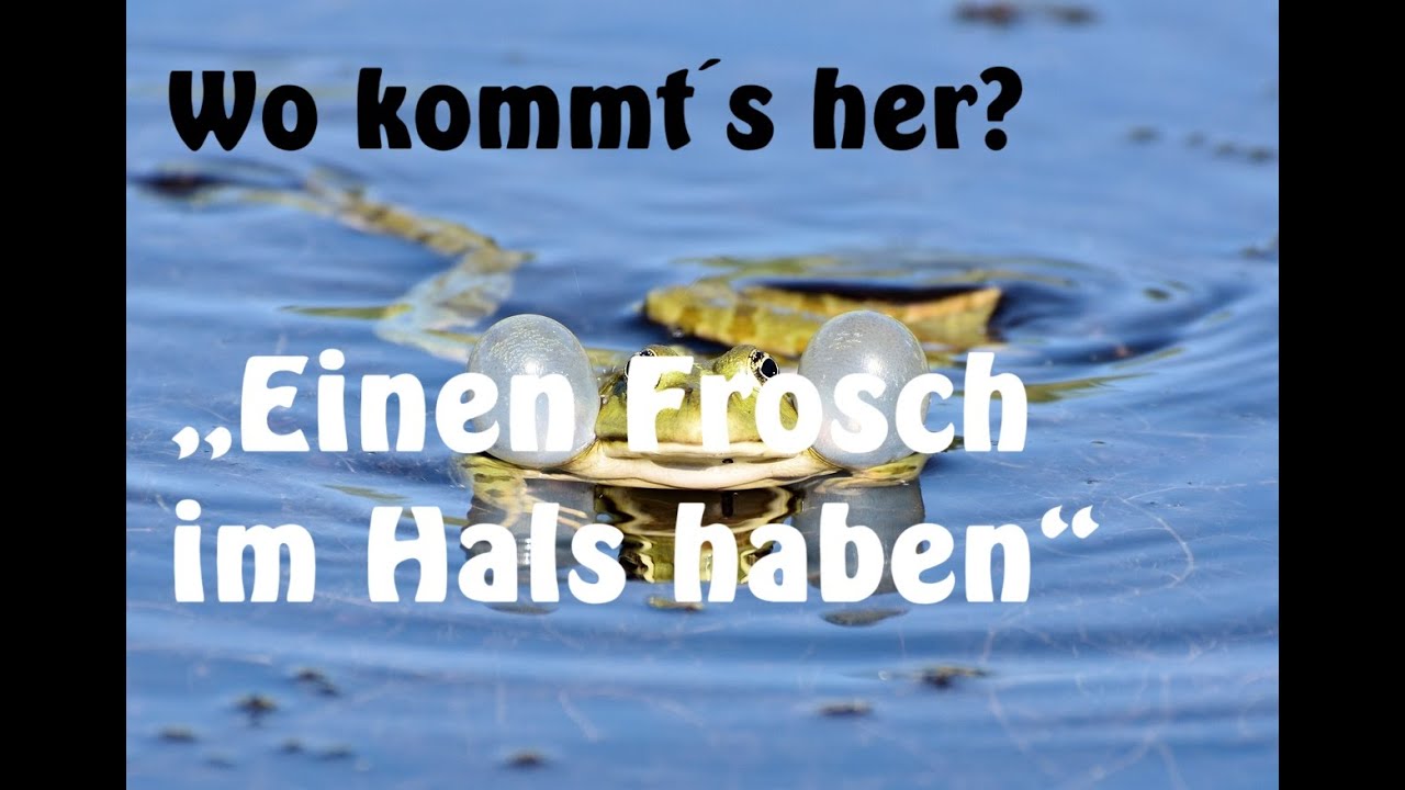 Einen Frosch Im Hals Haben www.youtube.com