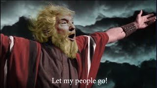 Go Down Donald