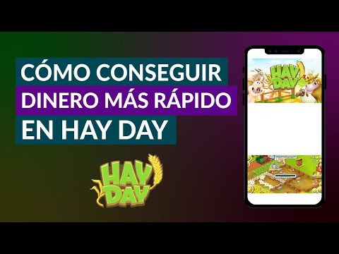Cómo Conseguir Dinero