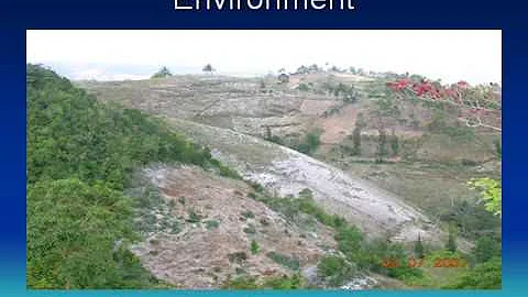Developing a Value Chain: Biomass & Biofuels in Ha...