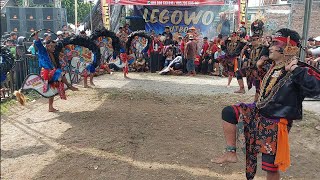 Celeng Mbois🔥 Jaranan Legowo Putro MANDA AUDIO Live Drenges Kertosono Nganjuk