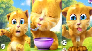 my taking ginger 🐈🐈🐈😾😽😻🙀😸😹😼😿😺😾🐈🐈🐈‍⬛🐈🐈‍⬛ funny ginger #ginger #android #youtube