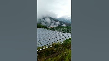 Pesona alam pegunungan Dieng negri diatas awan yg syahdunya tak terbatas & enak dipandang mata
