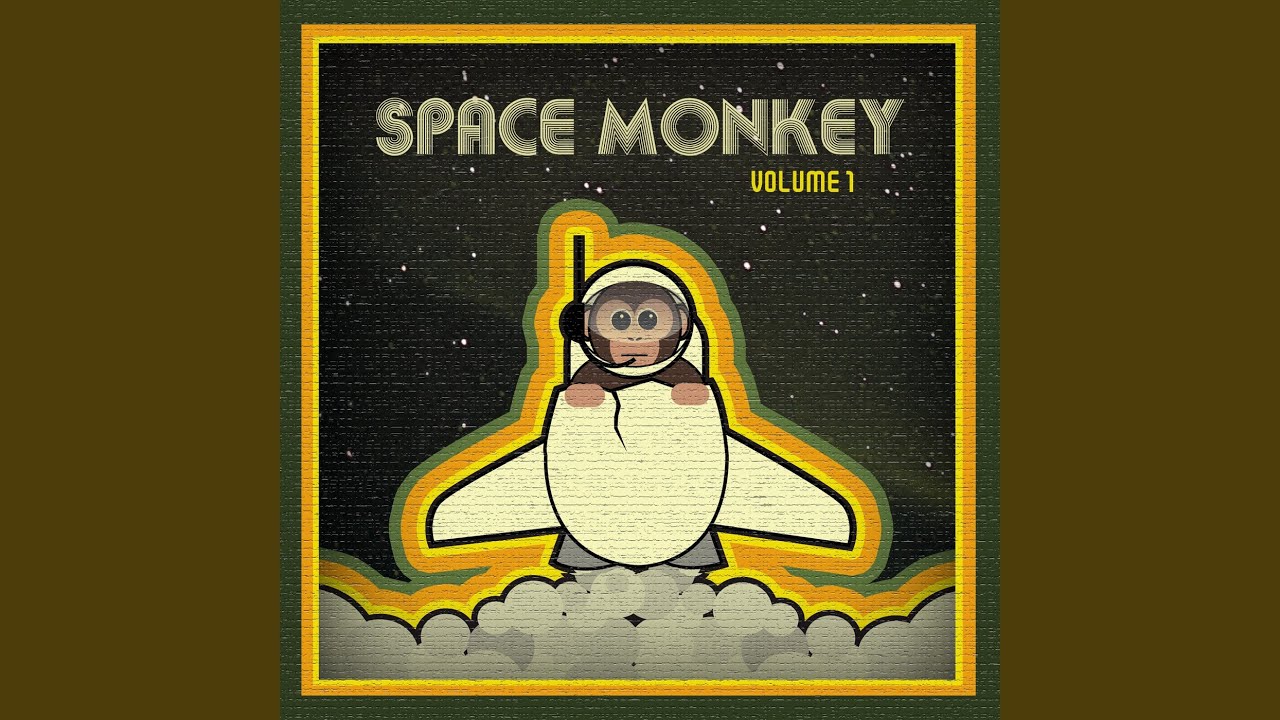 Space monkey. Спейс манки. Space Monkey игра. Space Monkey это кто. Space Monkey on the Beam.