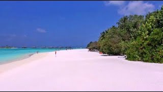 Ab nach Sri Lanka - Rundreise oder Badeurlaub