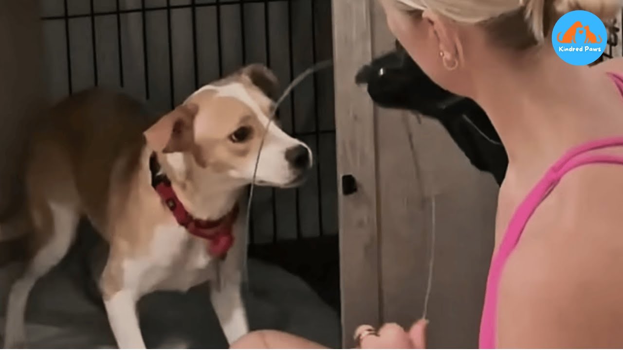 They Warned Me She Was Feral — Then This Happened