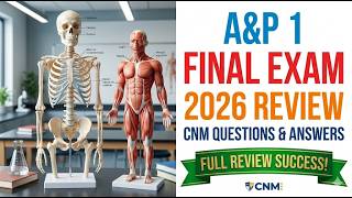 A&P 1 Final Exam 2026: CNM Questions & Answers Full Review