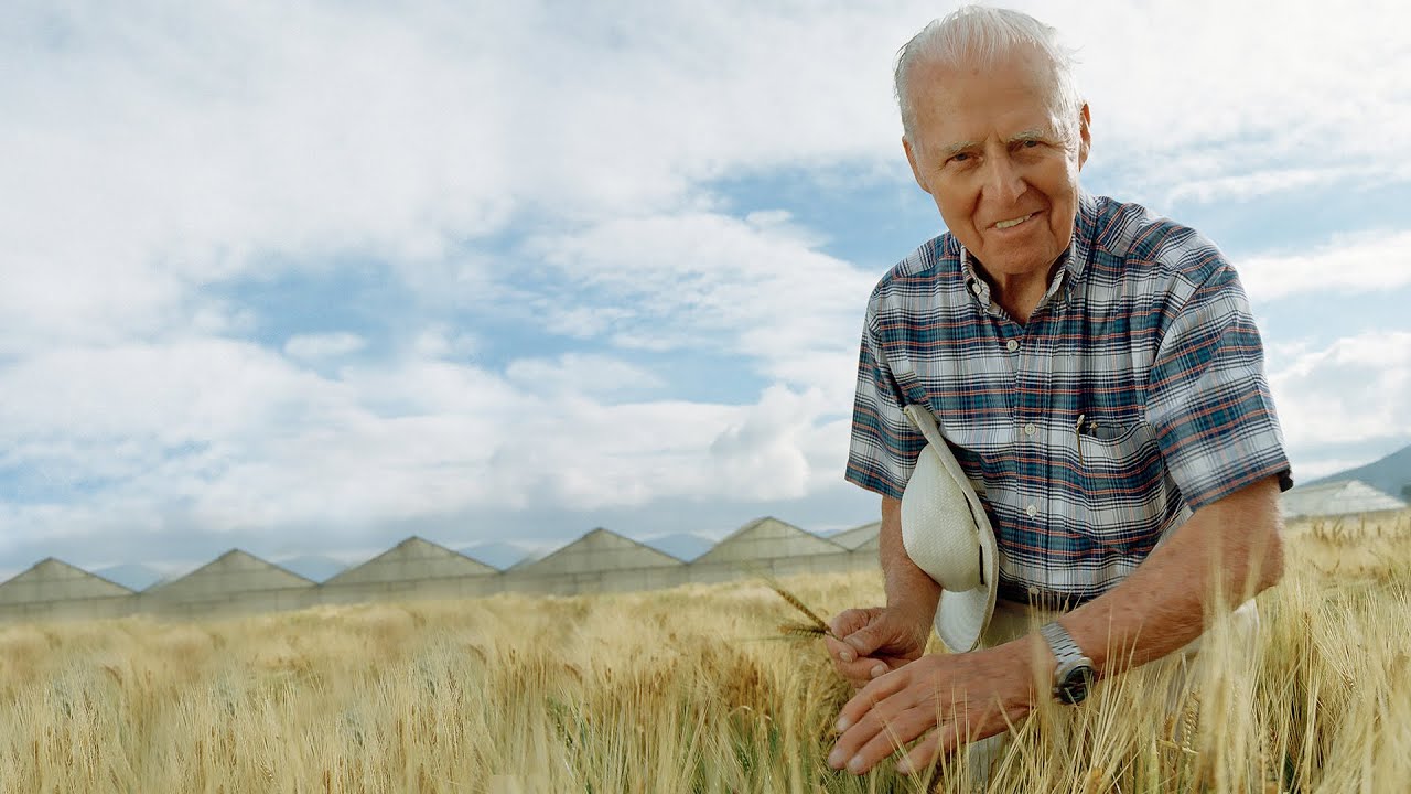 IELTS Reading Test 81 Part 1- THE PLIGHT OF RICE C-D-E