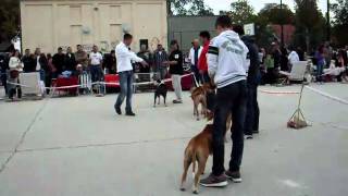 SDC10118.AVI