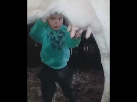اطفال اخر زمن العيال باظت اجدعان 