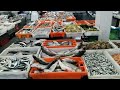 Portugal - Porto Fish Market