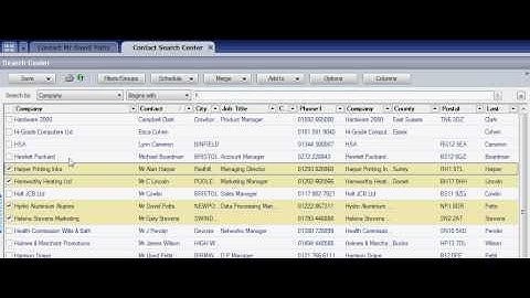 GoldMine CRM Tagging Records www.wizard-systems.com