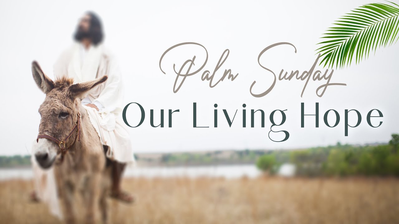 03-24-24-our-living-hope-luke-19-sermon-palm-sunday-rob