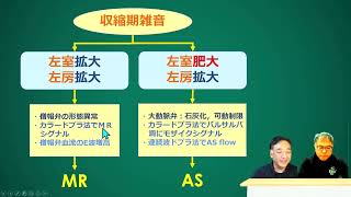 第5回心エコー判読指南　予習ムービー