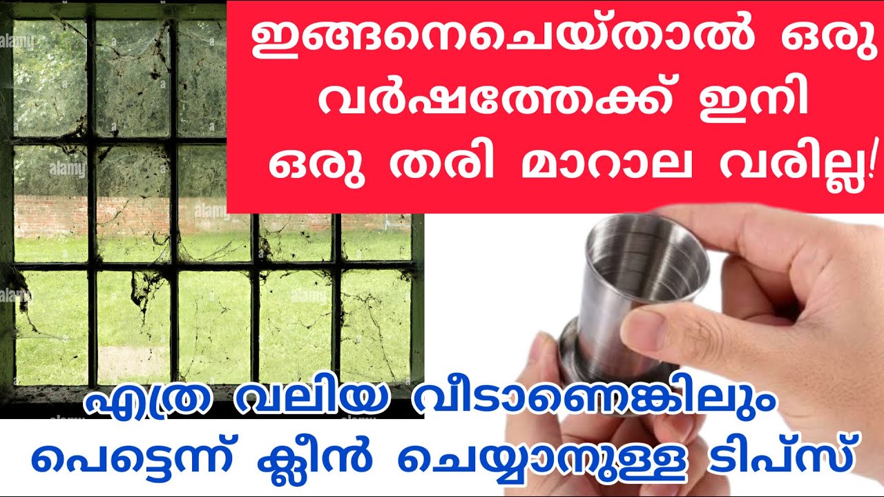 മാറാല വരാതിരിക്കാനും വീടു പെട്ടെന്ന് ക്ലീൻ ചെയ്യാനുമുള്ള ടിപ്സ്| cleaning Tips