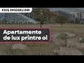 Apartamente de lux printre oi, grâu și floarea soarelui