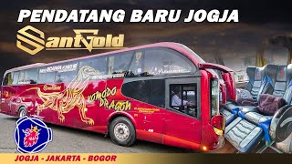 PEMAIN BARU BUS JOGJA JAKARTA | PO SANT GOLD - ANT Trans | Bis Malam Premium Scania