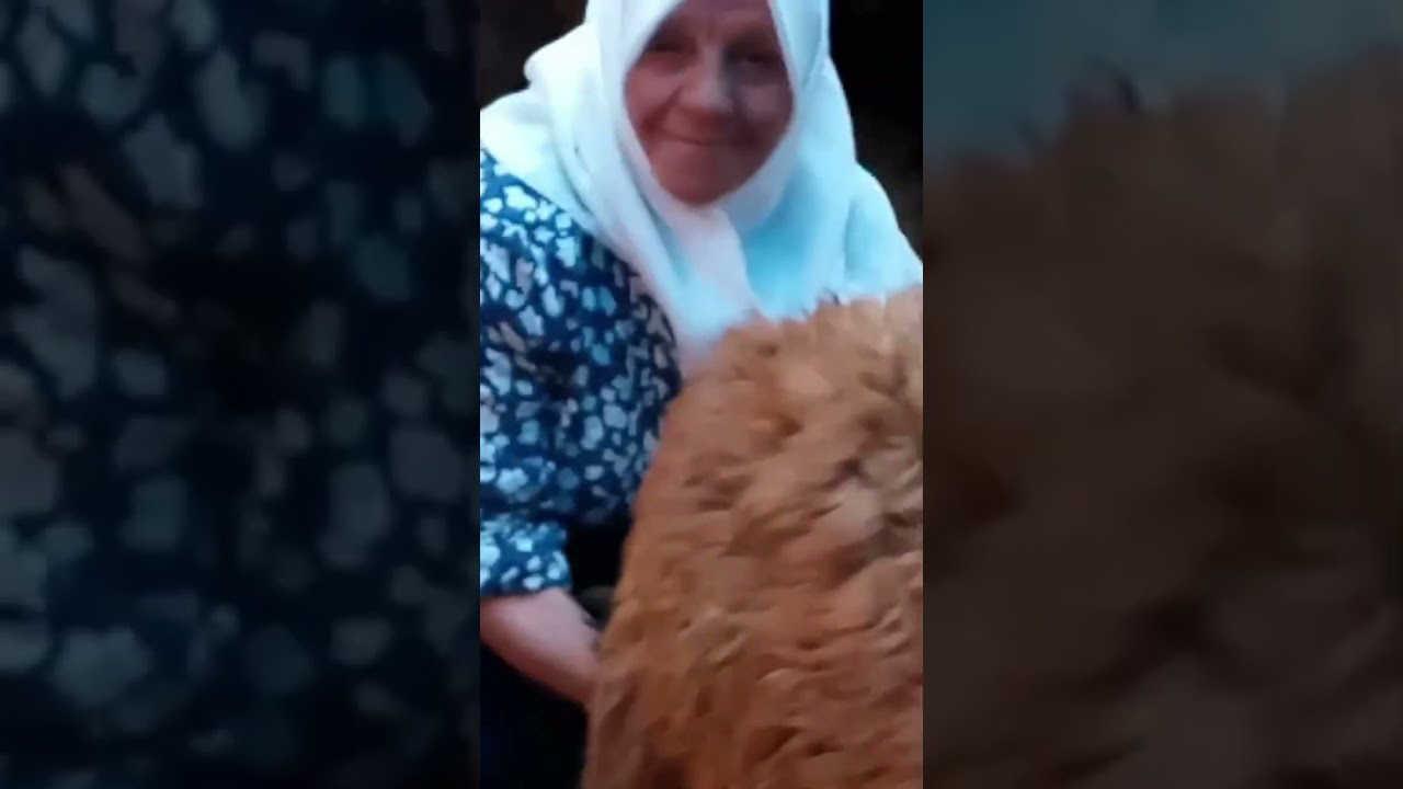 Canım Annem Filiz Sultan Erzurum ili Çat İlçesi Yavi köyü muhteşem yayla günü....