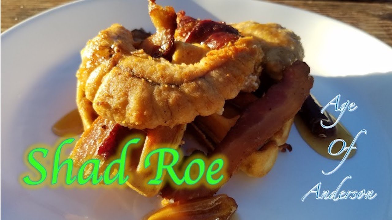 Shad Roe and Bacon 