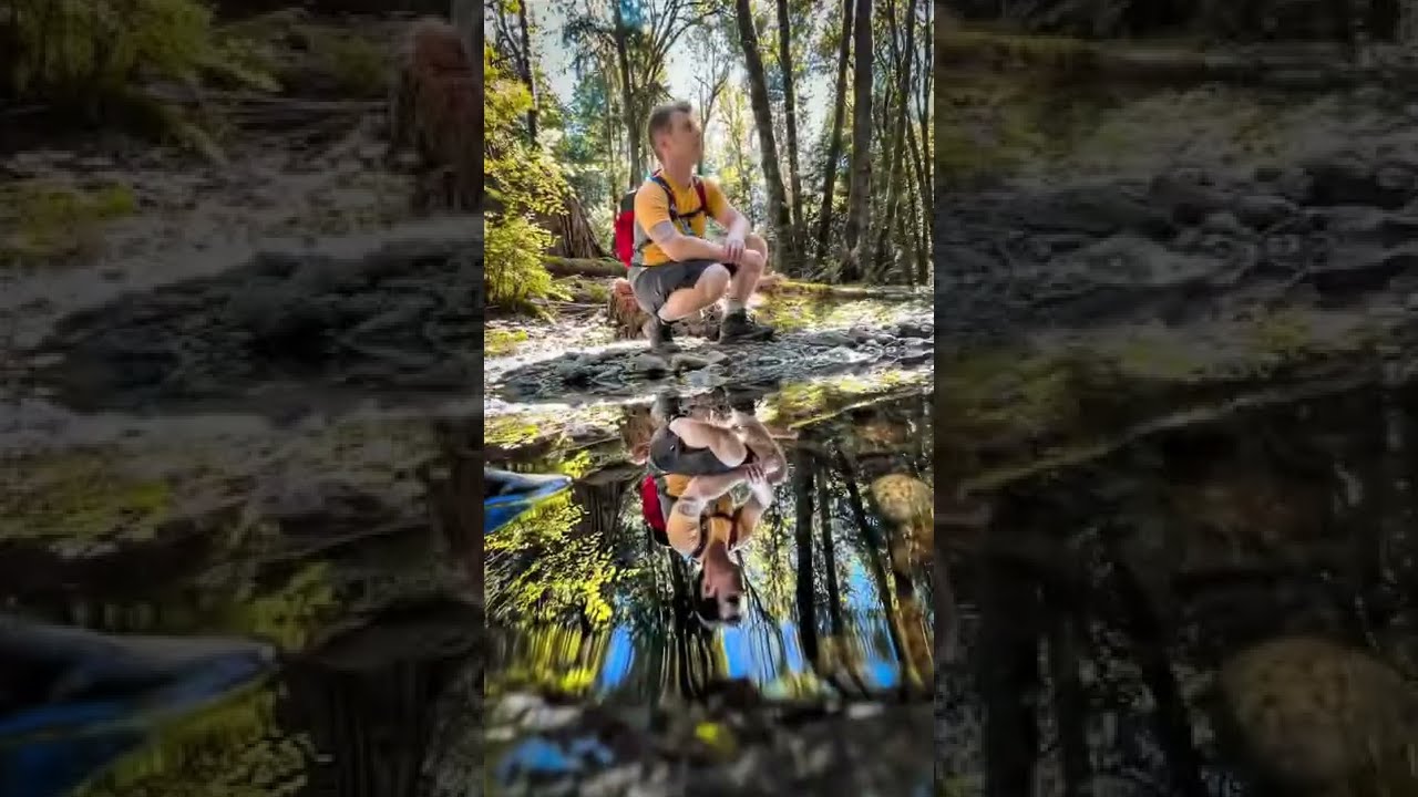 Stop taking hiking photos like this🌲🌳 #photoidea #mobilephotography