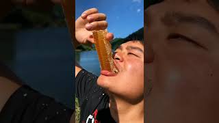 Honey eating #shorts part 1 | Satisfying Video | Tiktok China