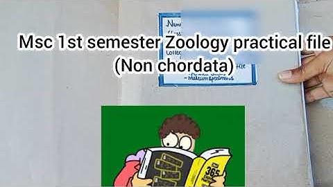 |Msc 1semester Zoology practical file (Non chordata)|Zoology practical file|practical A file #msc