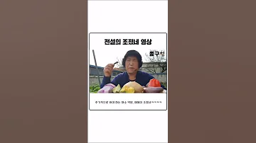 조졌네 이거 풀영상 