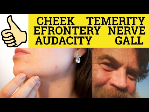 🔵Cheeky Gall Temerity Effrontery Audacity Nerve - Have the Cheek - Have The Gall  Have The Temerity