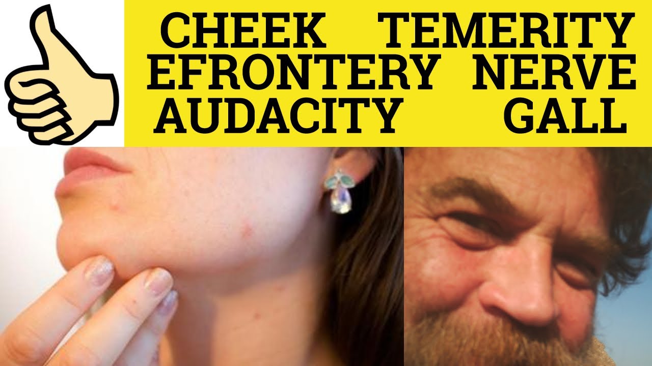 🔵Cheeky Gall Temerity Effrontery Audacity Nerve - Have the Cheek - Have The Gall  Have The Temerity