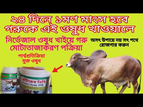 ভিডিও: টিলডিম কি ডিলটিয়াজেমের মতো?