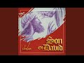 Son of david by shalom