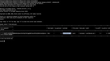 Django Multi-Tenant Db using MySql