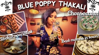 BEST MOMOS IN TOWN? 🤤 | BLUE POPPY THAKALI | Tibetan, Chinese naki Nepalese? 😍 screenshot 4