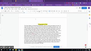 Plot Paragraph 4 in Essay Using Plot Diagram Organizer