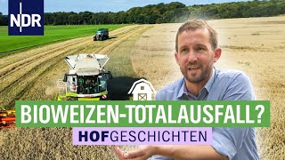 Totalausfall im Bioweizen? | Hofgeschichten: Leben auf dem Land (244) | NDR
