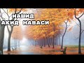 Нашид - Акид наваси