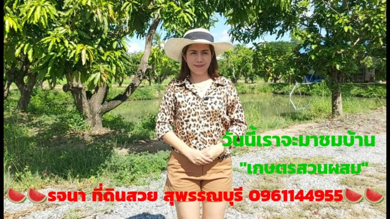 #ที่ดินสวย บ้านพร้อมที่ดินสวนผสม เกือบ 6 ไร่ อ.สองพี่น้อง จ.สุพรรณบุรี