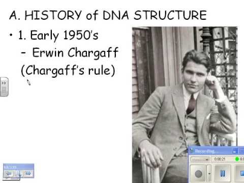 Video: Apa kontribusi Erwin Chargaff terhadap penemuan DNA?