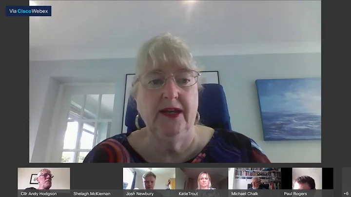 Greater Birmingham & Solihull Local Enterprise Partnership Joint Scrutiny Committee 10.7.20