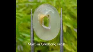 Mustika Combong Putih