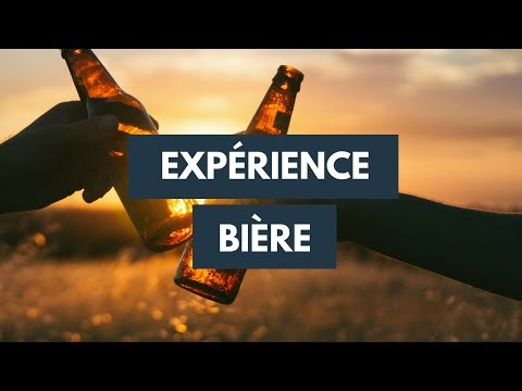 Vidéo: La bière contient-elle du sucre ?