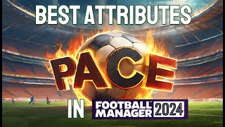 Best attributes by position in FM24