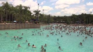 Typhoon Lagoon Main Wave Pool