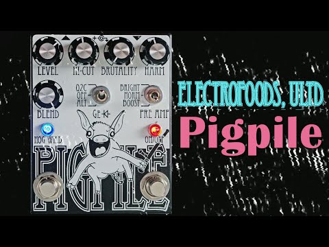 electrofoods-pigpile-||-guitar-&-bass-demo