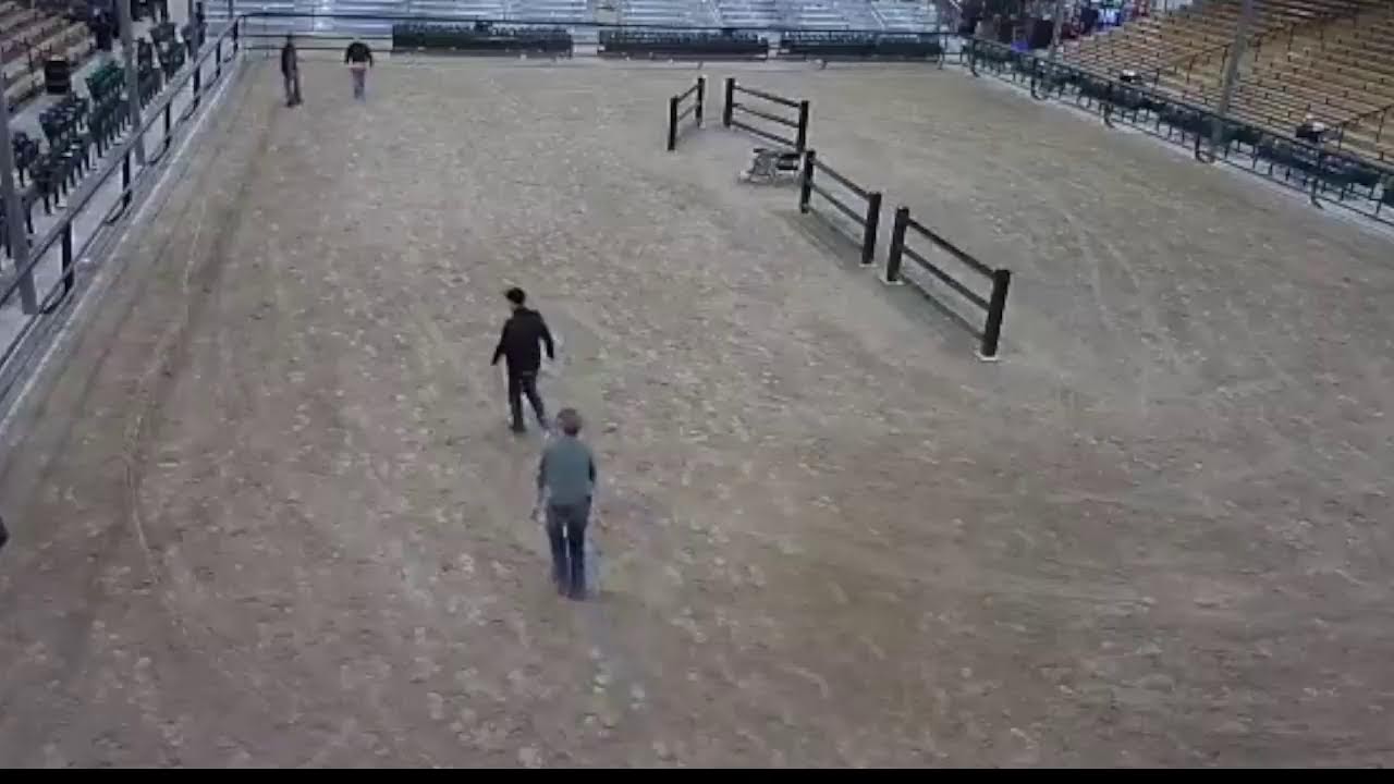 topeka-livestock-auction-live-stream-youtube