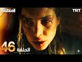 مسلسل المنظمة الحلقة 46